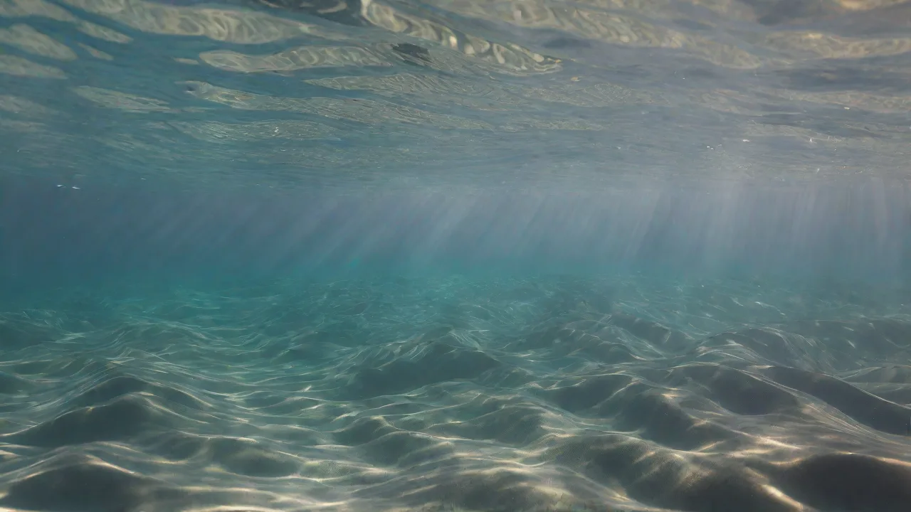 The Role of Subtle Underwater Currents in Creating Immersive Oceanic Atmospheres on Audioscene.org